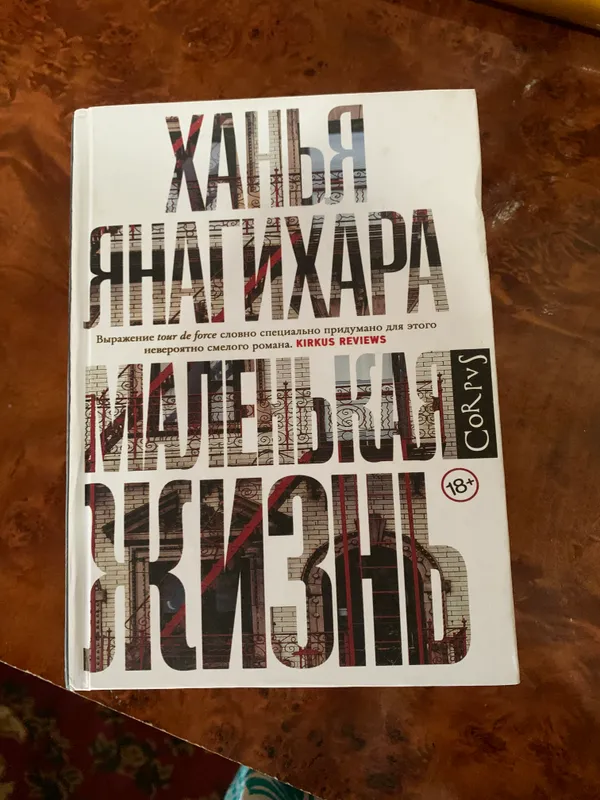 Ханья Янагихара «Маленькая жизнь» 3