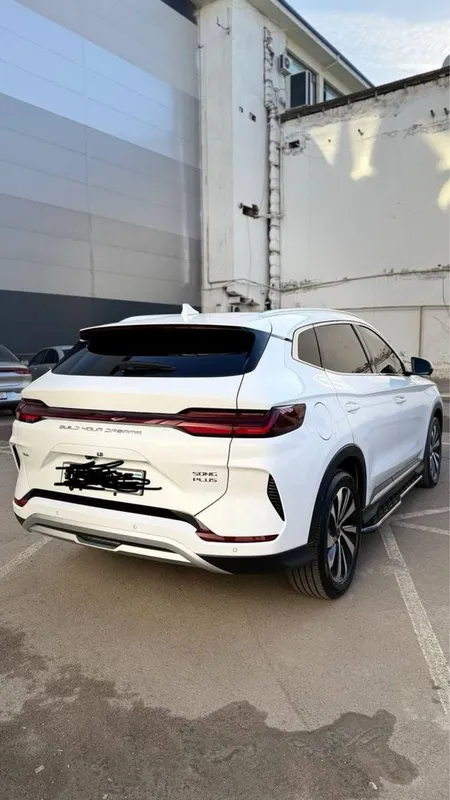 Byd champion 2024 gibrid 110 tali — фото 2