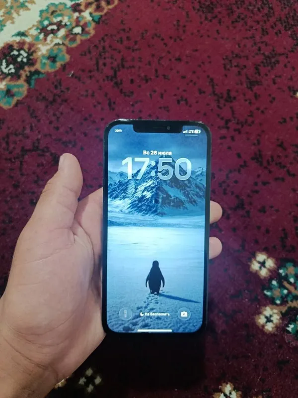 Iphone 12 Pro Max 1