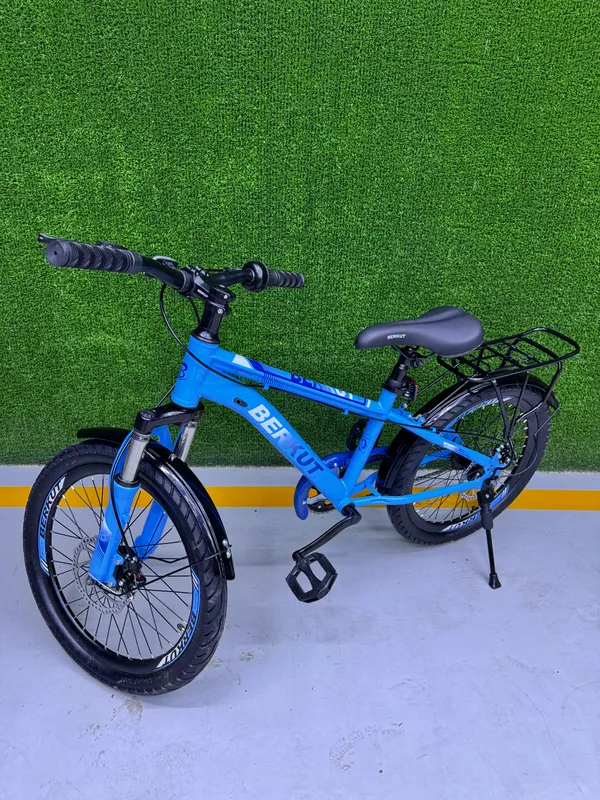 Berkut sifatli Xitoy velosipedlari 20 razmerda 10