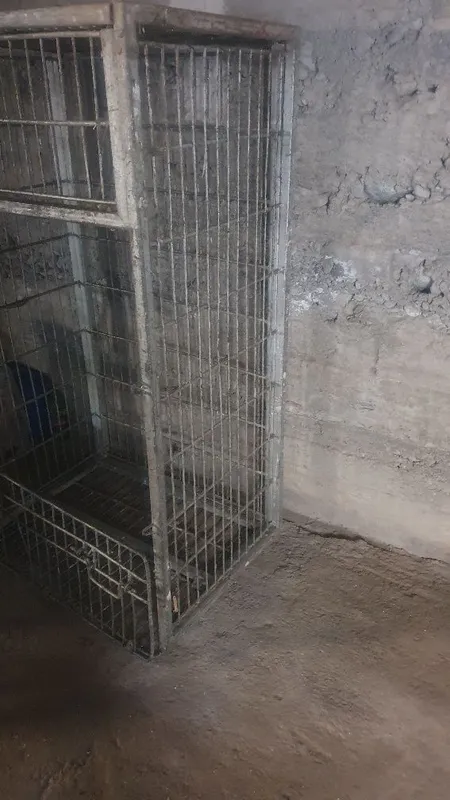 Этажелка полка савзавотлар полкаси 2 Этажелка полка савзавотлар полкаси 2