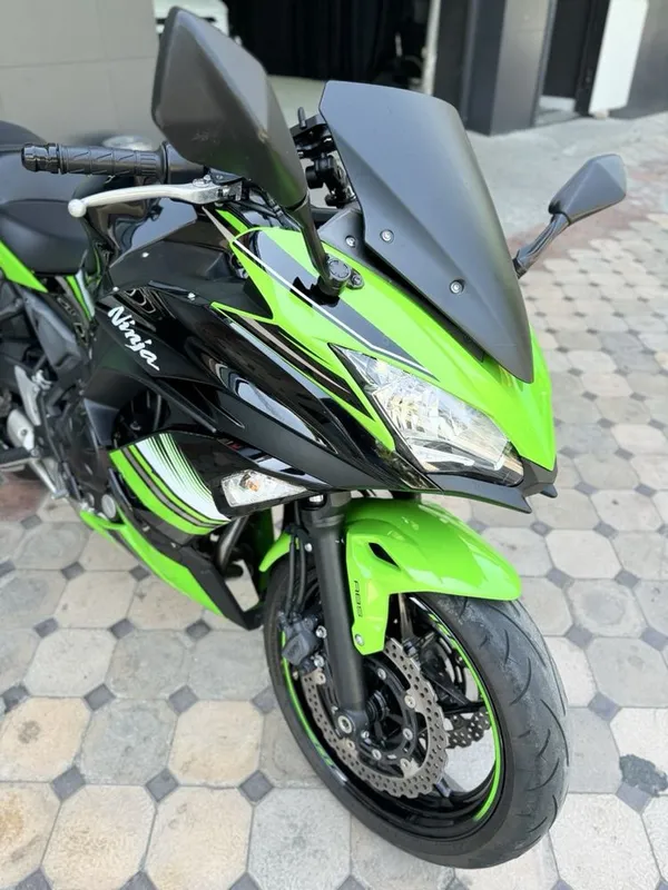 Kawasaki arginal 3
