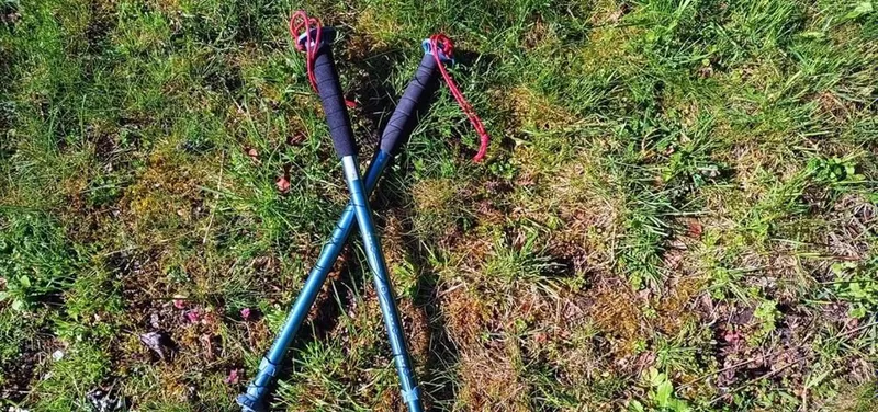 Fransiya Forclaz MT100 Decathlon — trekking tayoqlari, sayyohlik tayoği 6