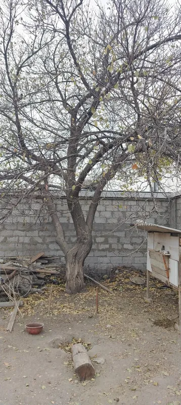 Продаётся посуда советских времён цена договорная — фото 2