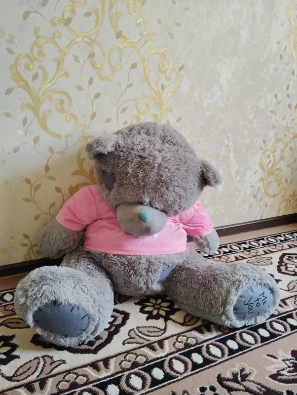 ayiqcha TEDDY
