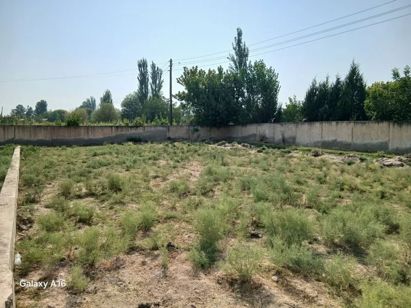 Hazorbog sentr, 9 sotix yer sotiladi — фото 1