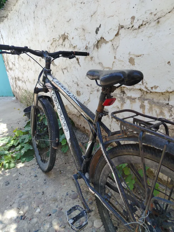 narh 800 so'm manzil Oqqo'rg'on kelshtrb beraman — фото 1