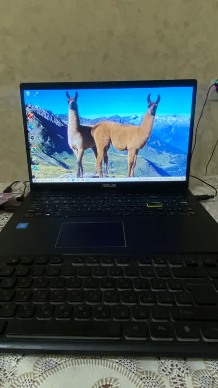 Asus Vivobook L510MA — фото 2