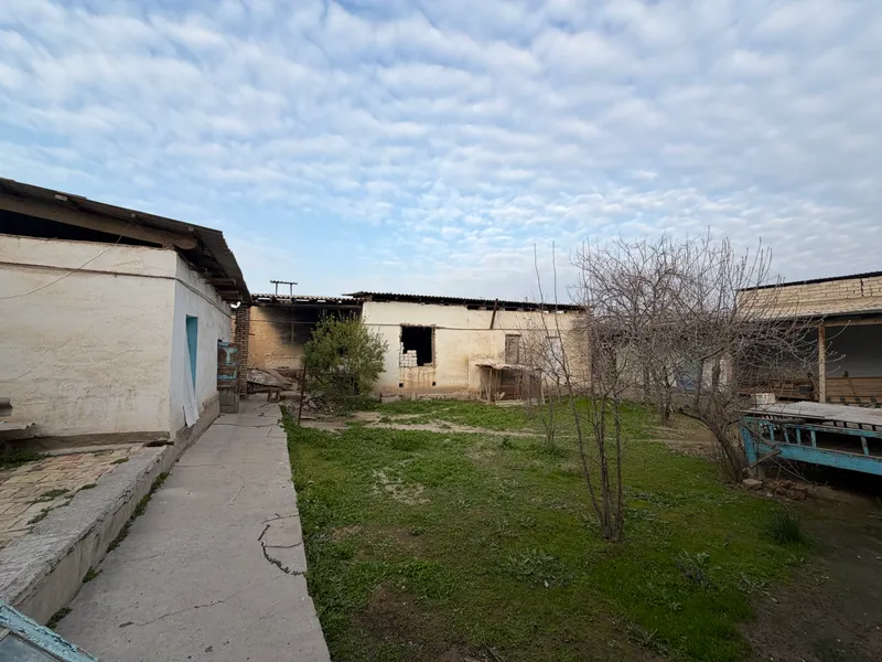 Hoxli sotiladi 8 sotiq qarshi shaxar 1