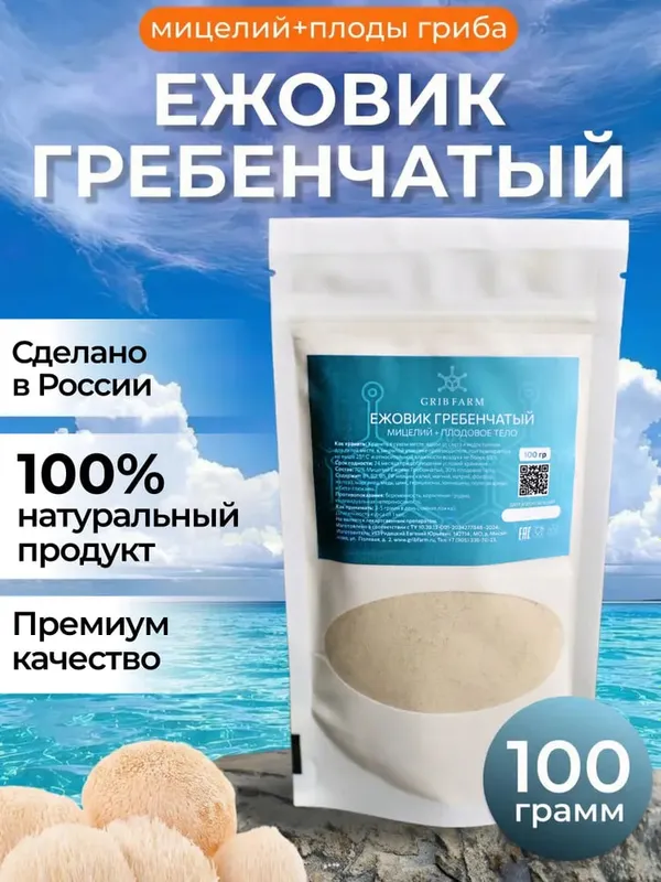 Грибы Ежовик гребенчатый 3
