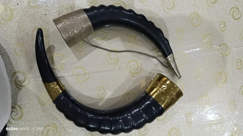 Shox ikkasidan 1tadan