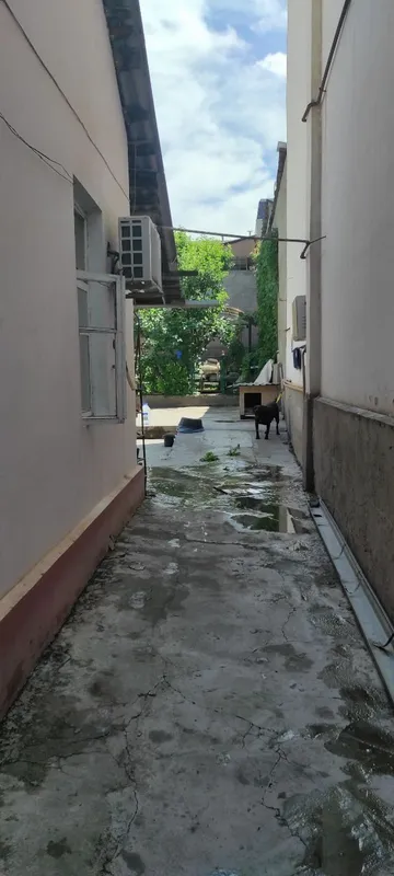 Дом 3 сотки, фасад 10м 4