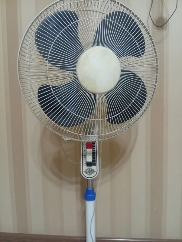 Ventilyator
