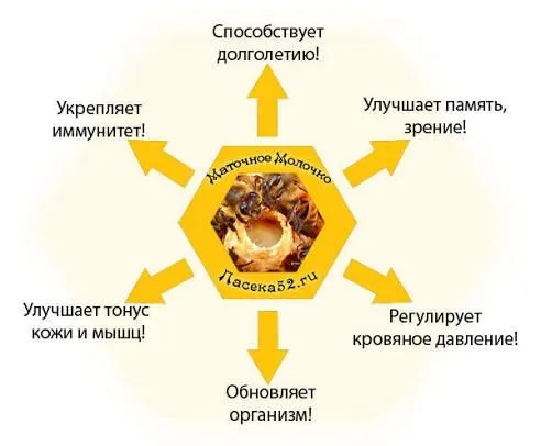 Асалари сути,пчелинное маточное молочко. — фото 1
