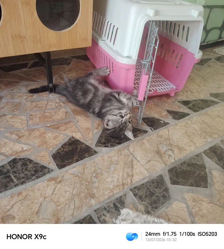Zoti tozza manzil Navoiy shahar kelishamiz 3 Zoti tozza manzil Navoiy shahar kelishamiz 3