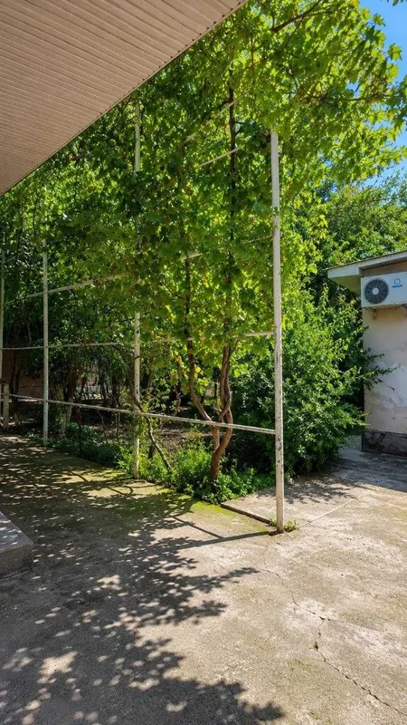 участок в Шайхантахуре, 3,7 сотки, 5 комнат 8 участок в Шайхантахуре, 3,7 сотки, 5 комнат 8