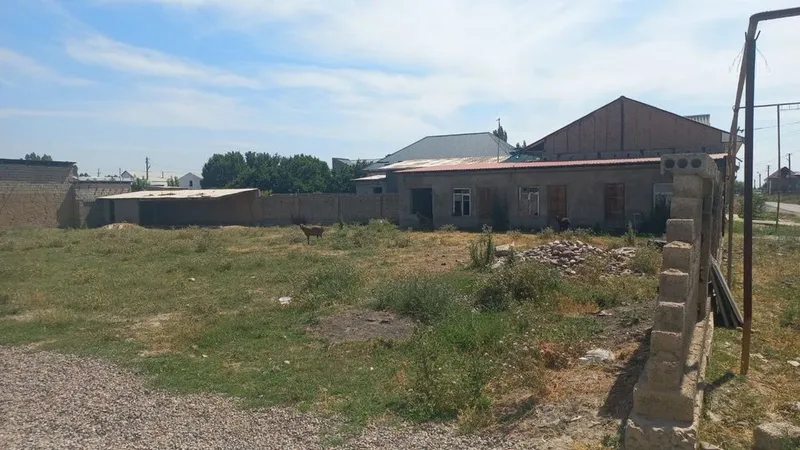Xovli / yer/ uchaska / янгийул /yangiyol tumani obod mahalla 2 Xovli / yer/ uchaska / янгийул /yangiyol tumani obod mahalla 2