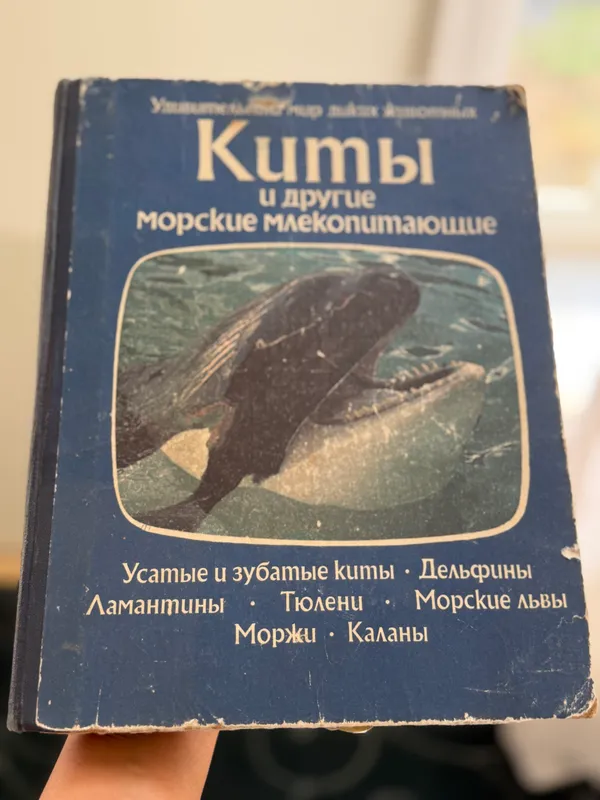 Книга: «Киты»