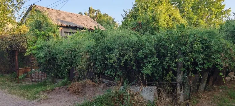 Продам срочно дачу на ташморе. Дача с бассейном на природе. 5 Продам срочно дачу на ташморе. Дача с бассейном на природе. 5