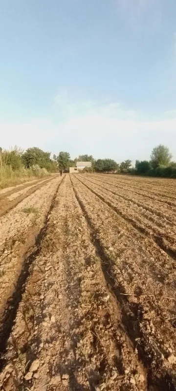 Turar joy Ozod dacha 4 Turar joy Ozod dacha 4