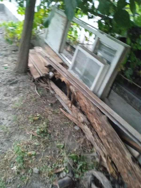 Утинлар сотилади келишилган нархда срочно черный паталог хам зур булад 1 Утинлар сотилади келишилган нархда срочно черный паталог хам зур булад 1