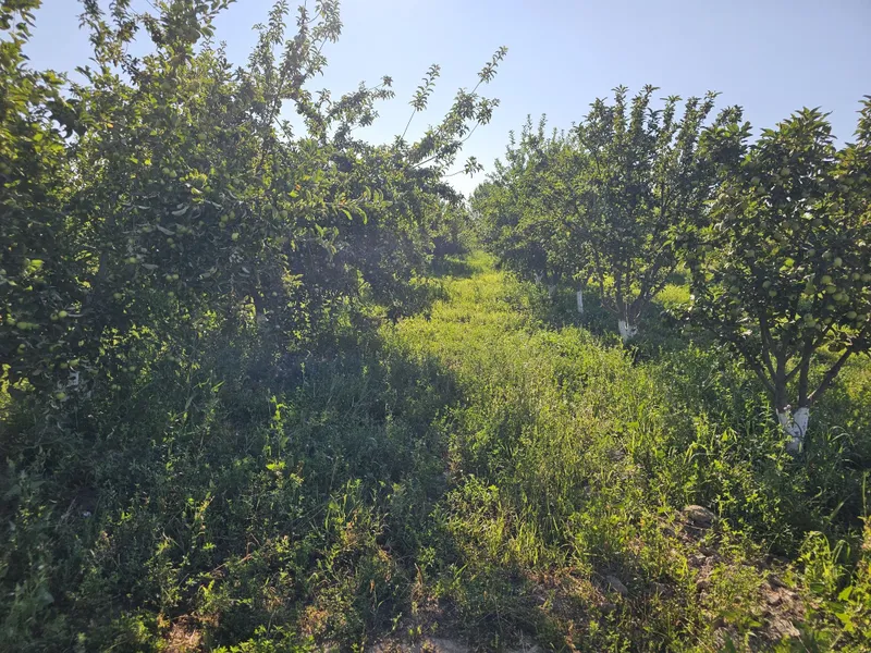 Продаётся бизнес — фото 2