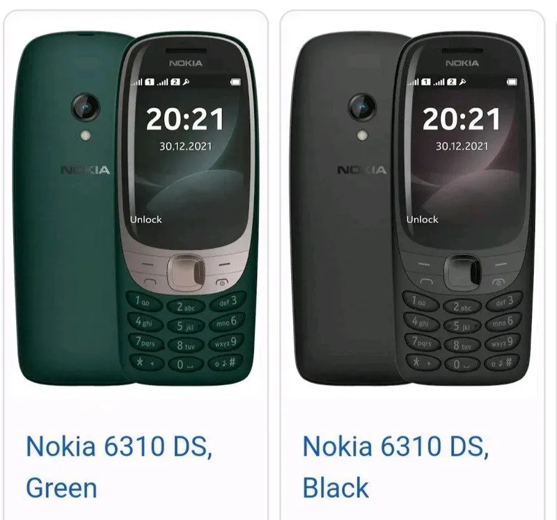Nokia 6310; New