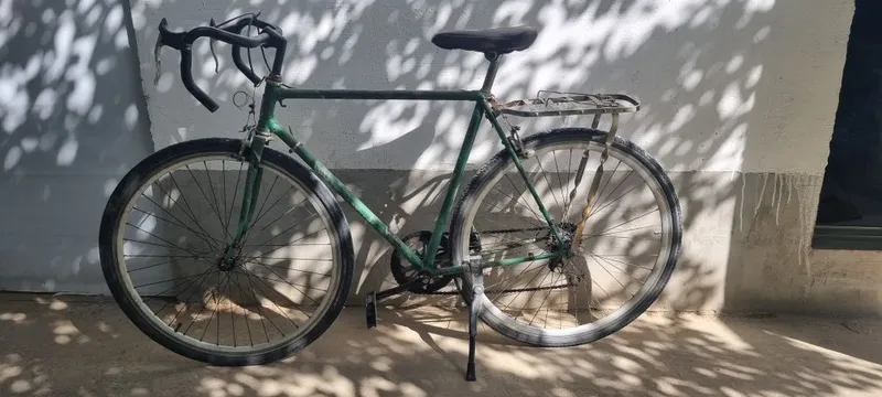 Velosiped gonchik