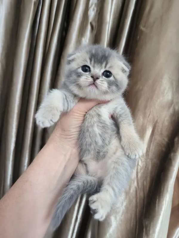 Щикарная девчонка — фото 1