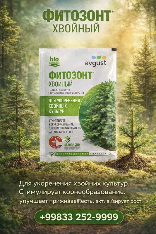Фитозонт Хвойный, Стимулирует корнеобразование, улучшает приживаемость