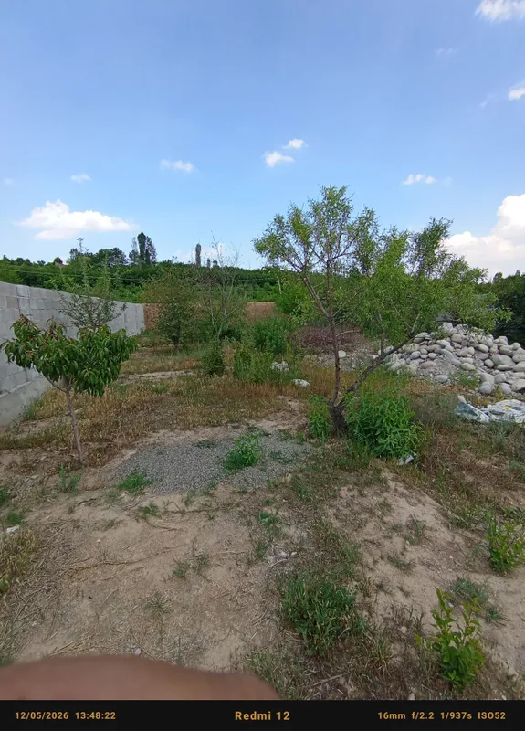 6 sotixli chek chorsi 15500$ — фото 6