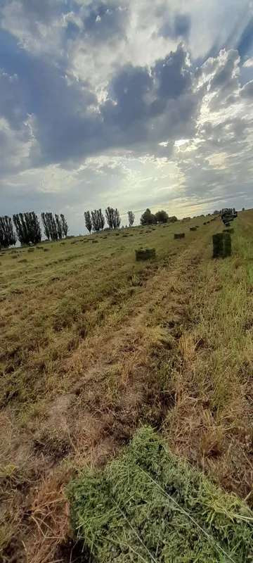 Беда прес 2 чи урим 28500, люцерна, пресс беда 2