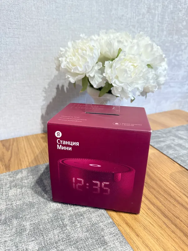 Yandex Stansiya Mini 2