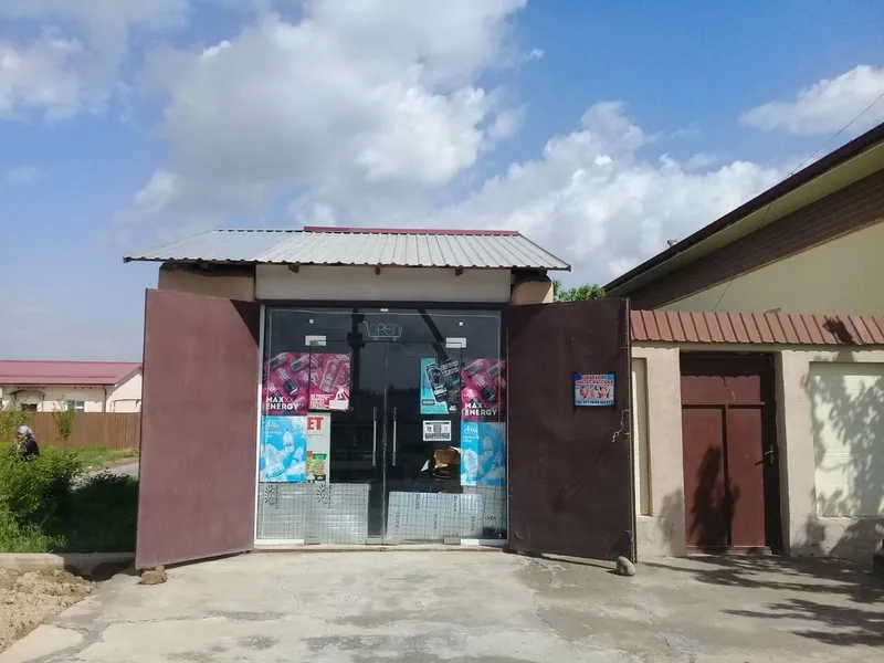 Do'kondan chiqqan oynali eshik