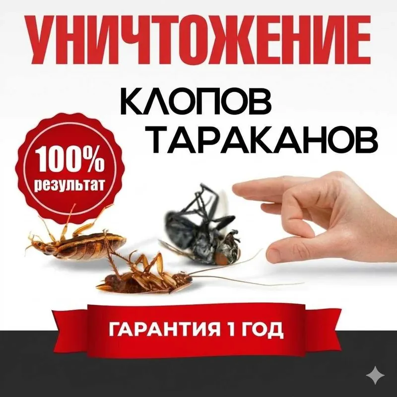 Дезенфекция | Дератизация | Дизенцекция | Dezinfeksiya