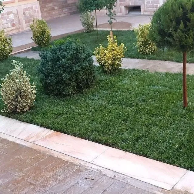 Gazon bor katta miqdorda Samarqand buylab — фото 4