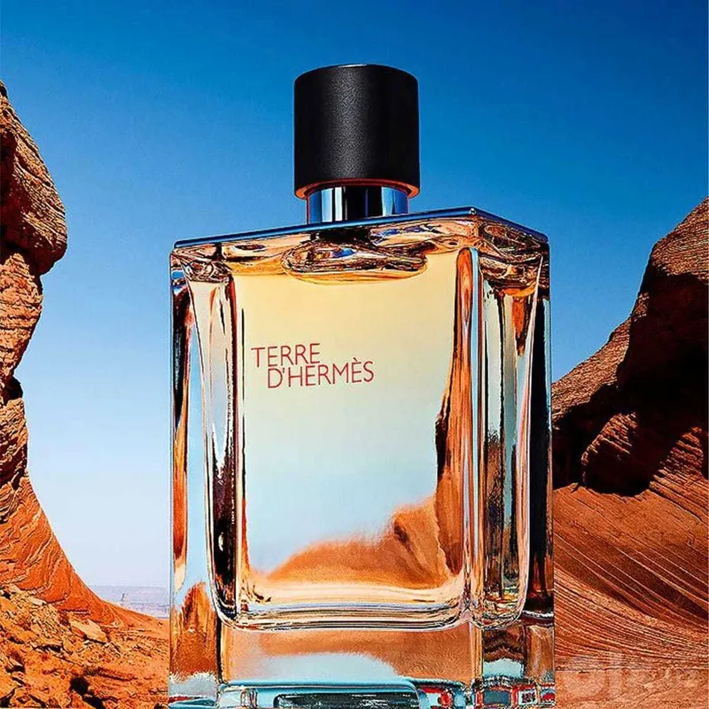 Terre d'Hermès Hermès 100 ml Original 2 Terre d'Hermès Hermès 100 ml Original 2