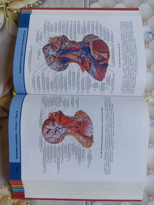 Atlas anatomiya sotiladi — фото 3