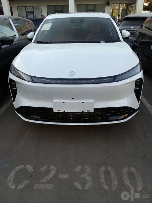Donfeng L8 гибрид 1 Donfeng L8 гибрид 1