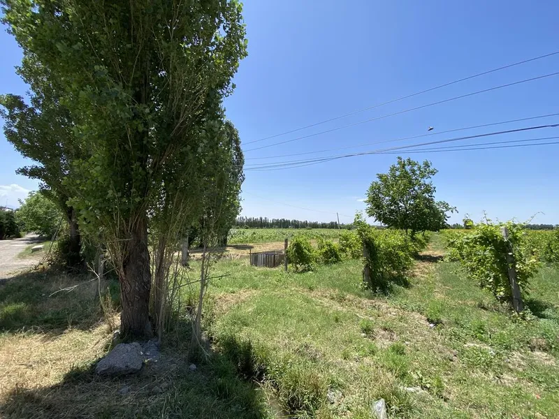 Продаётся Участок 4 сотки Кибрай Ботаника — фото 5