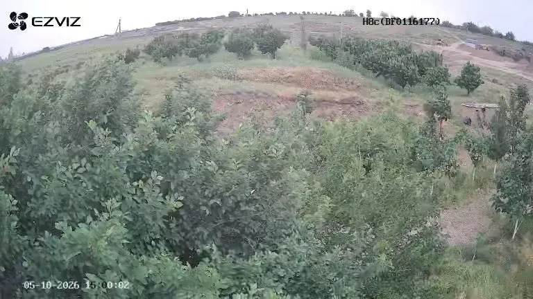 Гилос бог уй молхона свет сув хамма нарсаси бор — фото 4