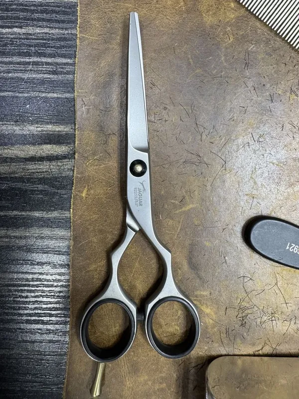 Jaguar ergo 5,5 3 Jaguar ergo 5,5 3