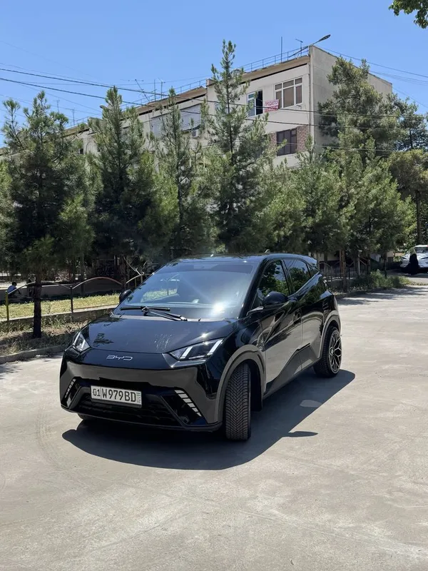Arenda BYD seagull 2023 yil