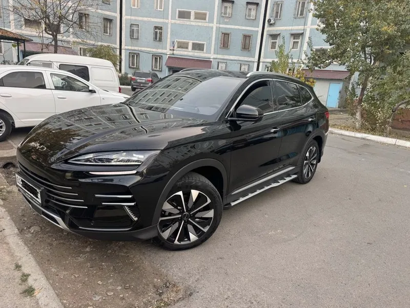 BYD Champion Gibrid 150 km (Full) — фото 4
