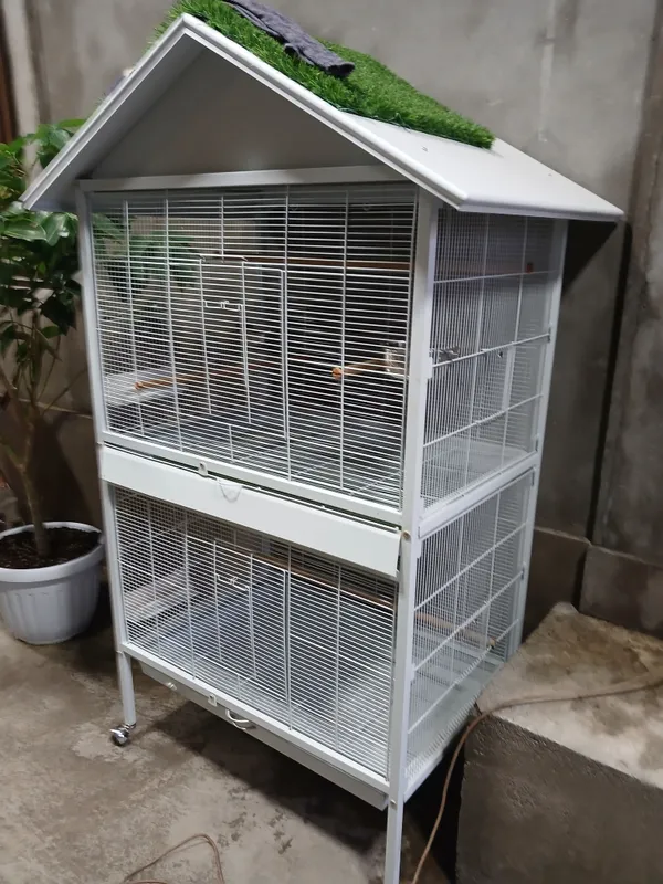Клетка, использовалась 10 дней, цена 300$ 2