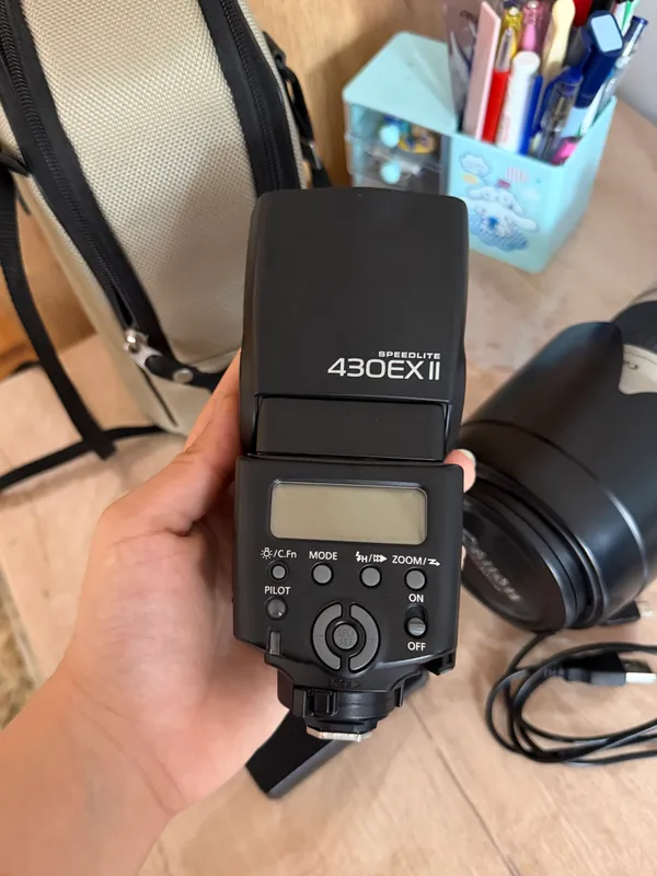 Canon EOS 5D Mark II + Canon EF 24–105mm — фото 9