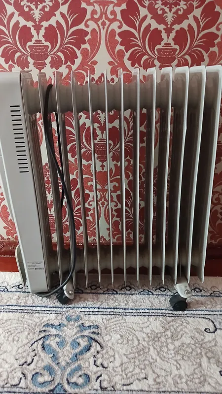 elektirisitgich