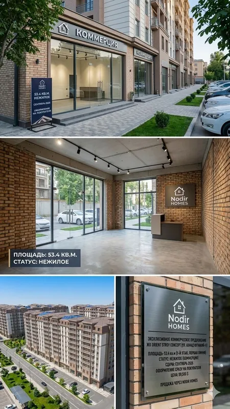 Коммерция 53.4 м² — 1 этаж. Готовый бизнес-кейс