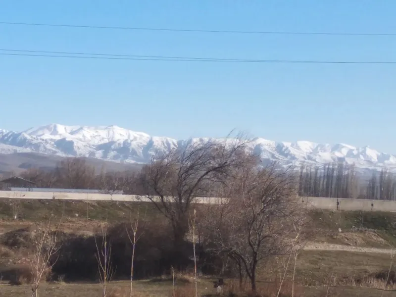 Dam olish hududida dacha sotiladi 4