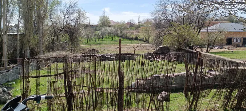 Земельный участок — фото 8